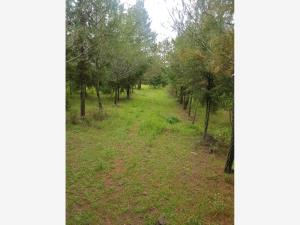 Finca-Rancho en venta en Ejido de Jilotepec, Jilotepec — foto 2 de 33