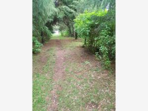 Finca-Rancho en venta en Ejido de Jilotepec, Jilotepec — foto 3 de 33