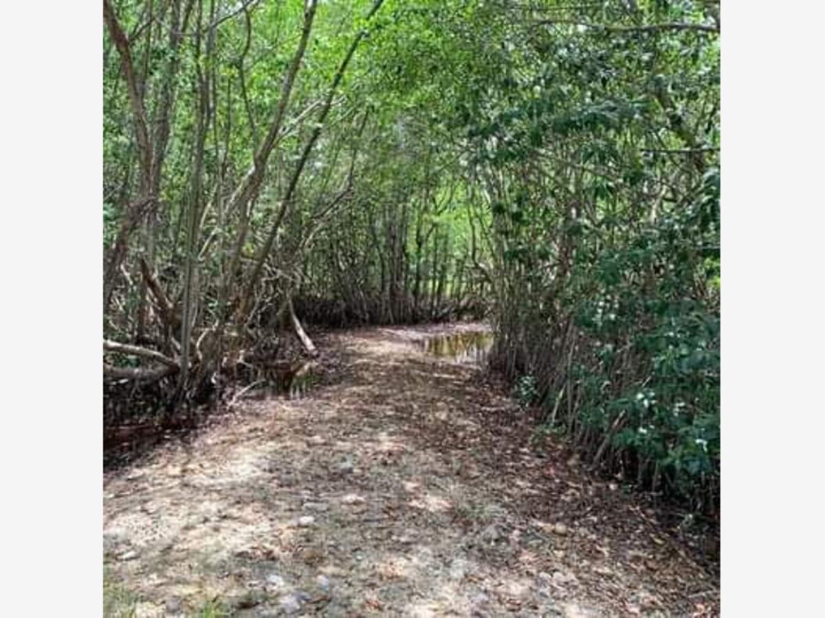 Terreno en venta en Cozumel (Internacional de Cozumel), Cozumel — foto 1 de 9