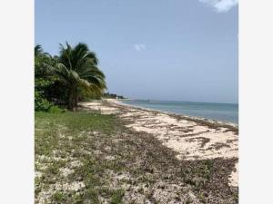 Terreno en venta en Cozumel (Internacional de Cozumel), Cozumel — foto 2 de 9