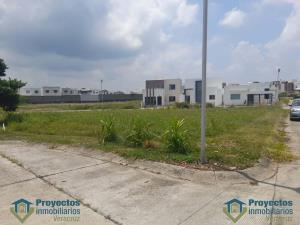 Terreno en venta en Real Mandinga, Alvarado — foto 2 de 5