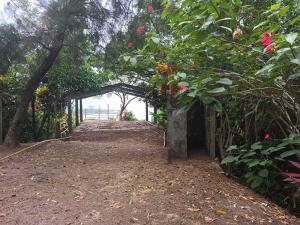 Terreno en venta en Sontecomapan, Catemaco — foto 2 de 16