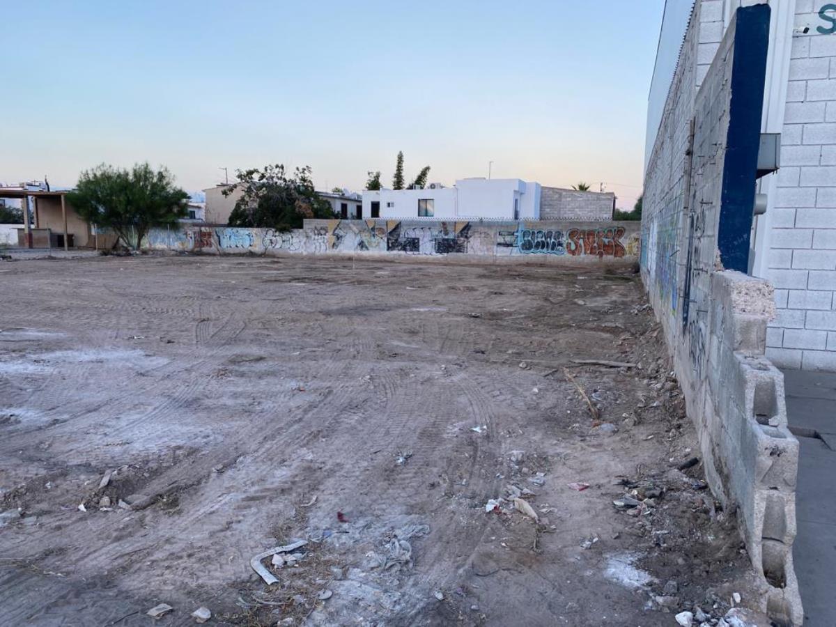 Terreno en Renta en Las Arboledas, Torreón, Coahuila de Zaragoza