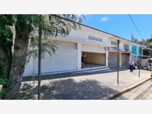 Local en venta en La Fabrica, Acapulco de Juárez — foto 3 de 9
