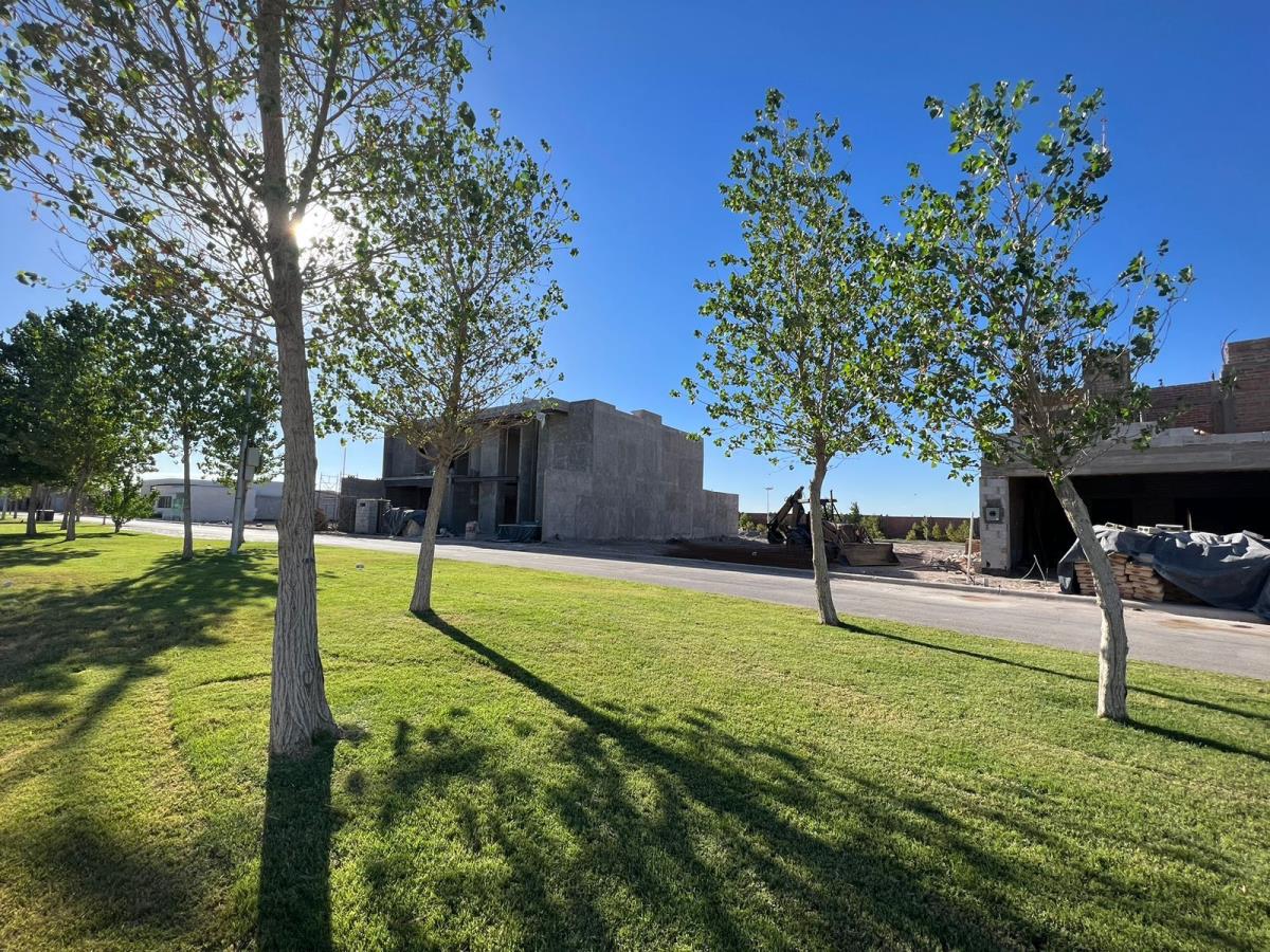 Terreno en Venta en Hacienda del Rosario, Torreón, Coahuila de Zaragoza