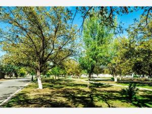 Terreno en venta en San Armando, Torreón — foto 2 de 6