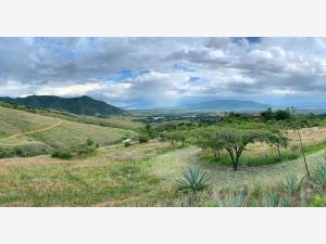 Terreno en venta en San Andres Huayapam, San Andrés Huayapam, Oaxaca
