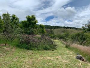 Terreno en venta en San Andres Huayapam, San Andrés Huayapam — foto 2 de 3