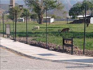 Terreno en venta en Lagos del Campestre, Lerdo — foto 2 de 7