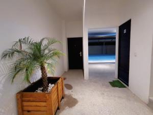 Departamento en renta en Los Viñedos, Torreón — foto 3 de 16