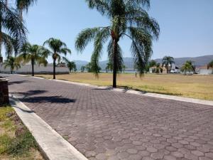 Terreno en venta en Cajititlan, Tlajomulco de Zúñiga — foto 3 de 12