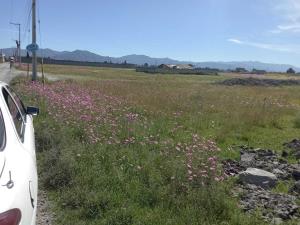 Terreno en venta en La Constitucion Totoltepec, Toluca — foto 2 de 4