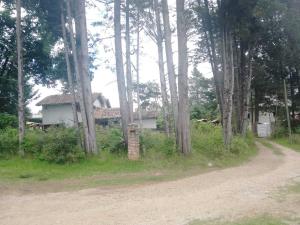 Terreno en venta en Los Alcanfores, San Cristóbal de las Casas — foto 3 de 6