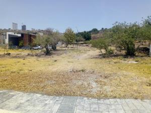 Terreno en venta en Villas de Irapuato, Irapuato — foto 3 de 19