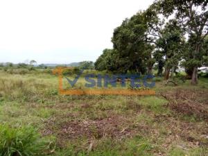 Terreno en venta en La Victoria Kilómetro 47, Papantla — foto 2 de 6