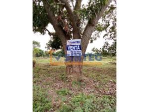 Terreno en venta en La Victoria Kilómetro 47, Papantla — foto 3 de 6