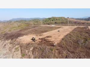 Terreno en venta en Troncones (Emiliano Zapata), La Unión de Isidoro Montes de Oca — foto 2 de 20
