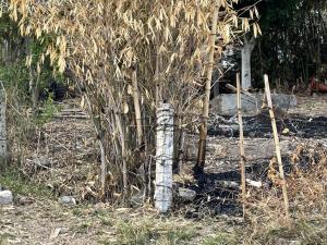 Terreno en venta en Malinalco, Malinalco — foto 2 de 3