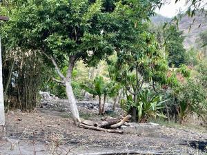 Terreno en venta en Malinalco, Malinalco, México