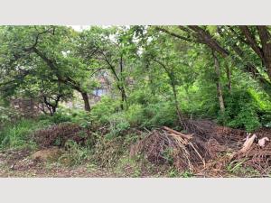 Terreno en venta en Las Cañadas (Bosques de San Isidro), Zapopan — foto 2 de 10