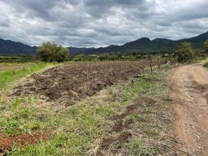 Terreno en venta en La Cañada, Ocuilán — foto 2 de 14