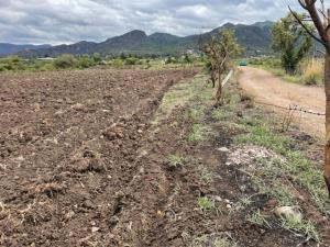 Terreno en venta en La Cañada, Ocuilán — foto 3 de 14