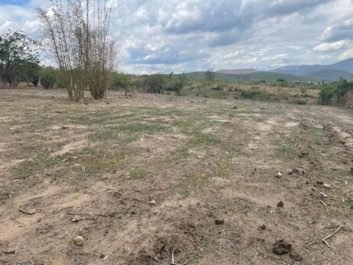 Terreno en venta en La Cañada, Ocuilán — foto 1 de 5