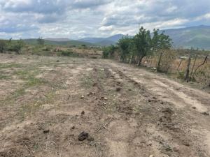 Terreno en venta en La Cañada, Ocuilán — foto 2 de 5