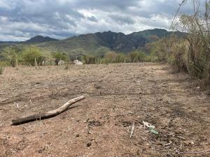 Terreno en venta en La Cañada, Ocuilán — foto 2 de 3
