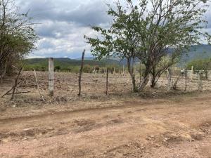 Terreno en venta en La Cañada, Ocuilán — foto 3 de 3