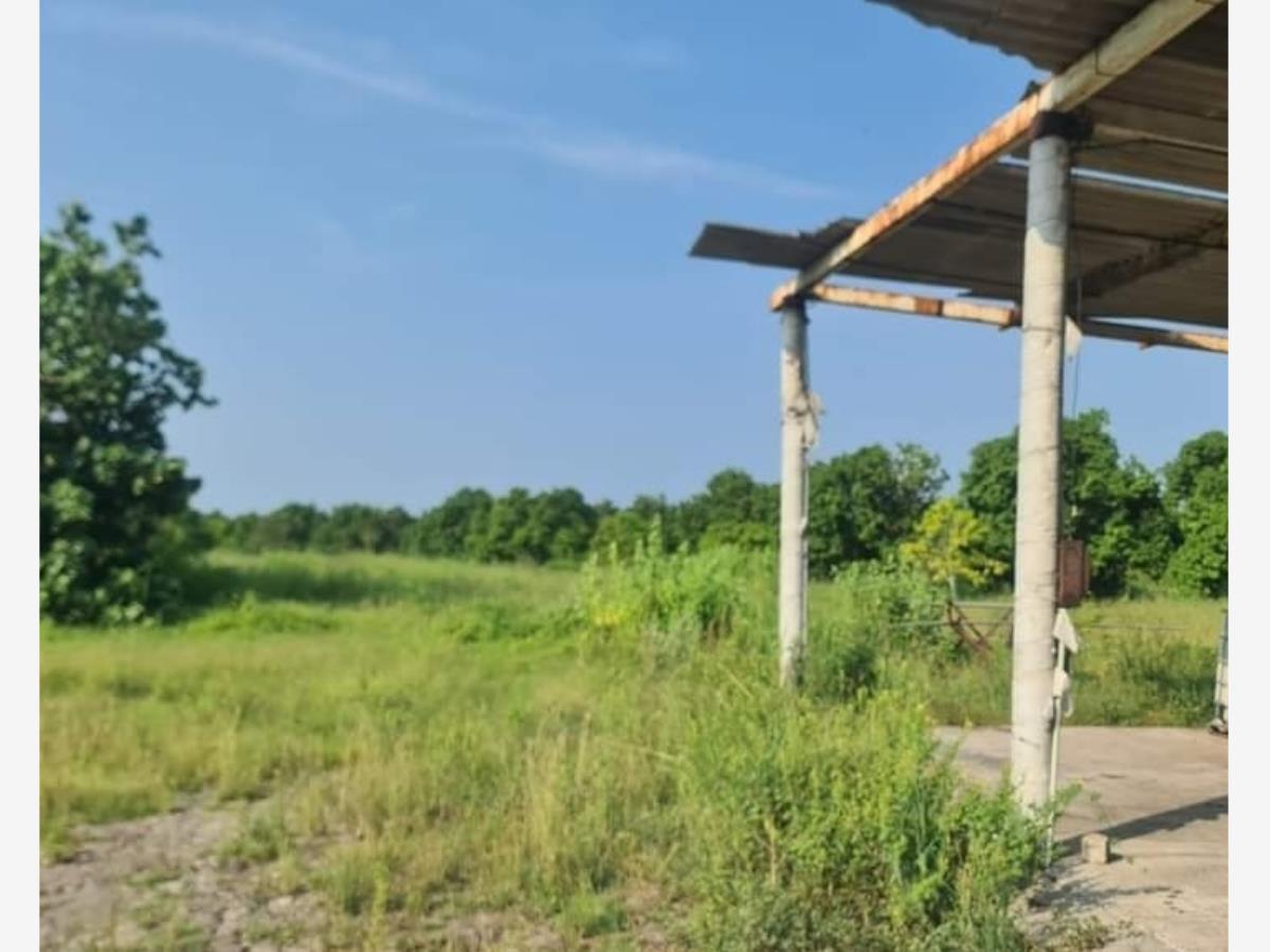 Finca-Rancho en venta en Cerro de Ortega, Tecomán