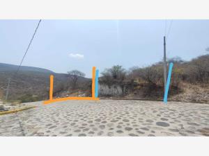 Terreno en venta en Ticumán, Tlaltizapán de Zapata — foto 2 de 4