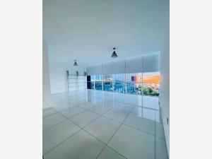 Oficina en renta en Villas del Lago, Cuernavaca — foto 2 de 6