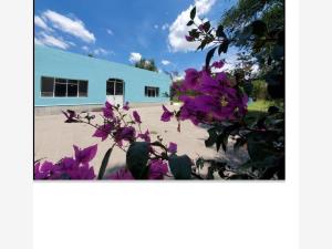 Casa en venta en El Sauz Alto, Pedro Escobedo — foto 2 de 7