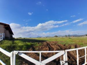 Quinta en venta en Campestre Haras, Amozoc — foto 2 de 51