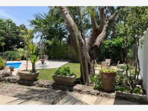 Casa en Palmira, Cuernavaca, Morelos