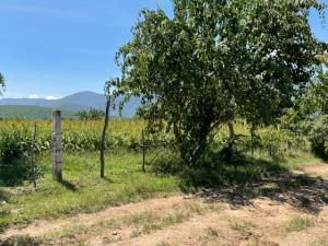 Terreno en venta en La Cañada, Ocuilán, México