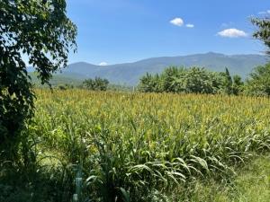 Terreno en venta en La Cañada, Ocuilán — foto 2 de 5