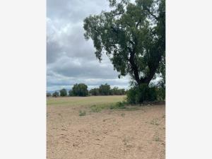 Terreno en venta en Valle del Sol, Pachuca de Soto — foto 3 de 3