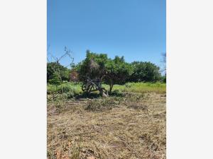 Terreno en venta en Santa María Colotepec, Santa María Colotepec — foto 2 de 2