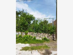 Terreno en venta en Agua Fria, Zapopan — foto 3 de 6