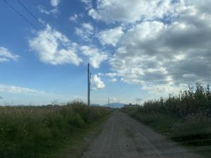 Terreno en venta en San Miguel Totocuitlapilco, Metepec — foto 3 de 10