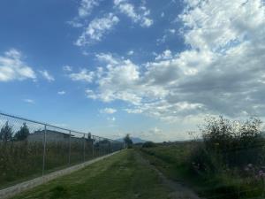 Terreno en venta en San Miguel Totocuitlapilco, Metepec — foto 3 de 7