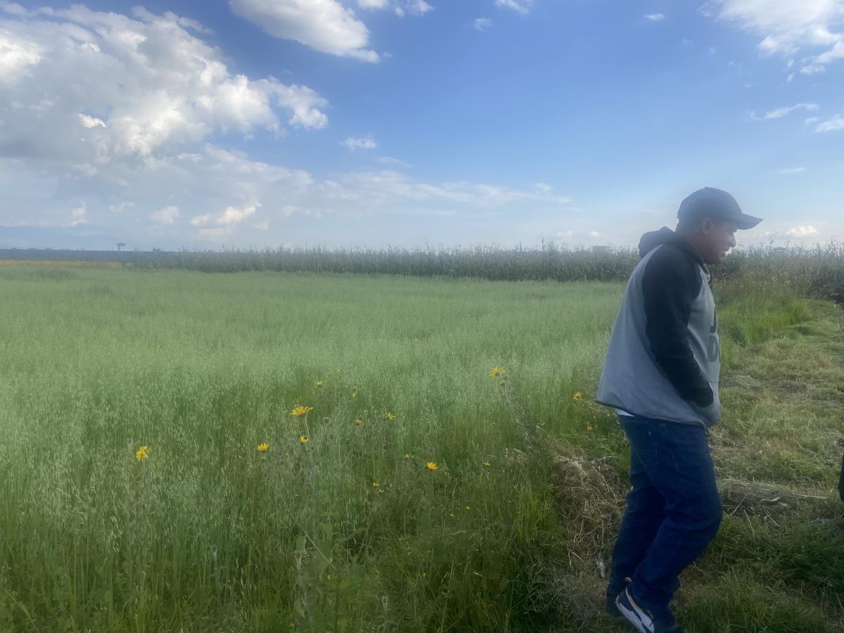Terreno en venta en San Miguel Totocuitlapilco, Metepec — foto 1 de 5