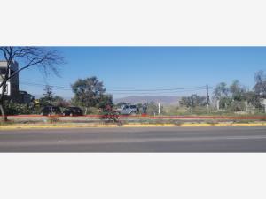 Terreno en renta en San Agustin de las Juntas, San Agustín de las Juntas — foto 3 de 8