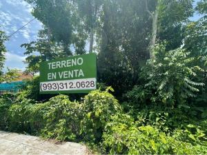 Terreno en venta en Boquerón 3ra. Sección (El Guanal), Centro — foto 2 de 7