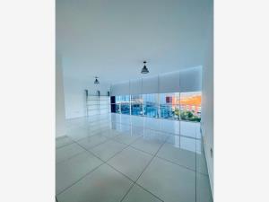 Oficina en renta en Villas del Lago, Cuernavaca — foto 2 de 6