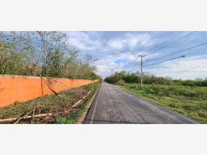 Terreno en venta en Sahe, Tixpéhual — foto 3 de 7