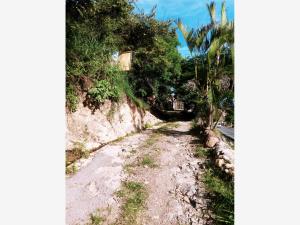 Terreno en venta en Alta Palmira, Temixco — foto 2 de 7