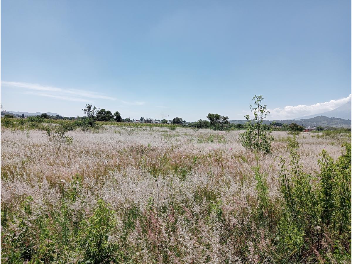 Terreno en venta en San Juan Cuautlancingo, Cuautlancingo — foto 1 de 8